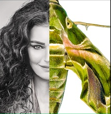 renklerin-terapisi-cover-image