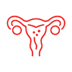 Endometriozis ikonu